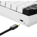 Sharkoon SGK50 S4 clavier USB QWERTZ Allemand Noir, clavier gaming Blanc/Noir, Layout DE, Kailh Brown, 60%, USB, QWERTZ, LED RGB, Noir