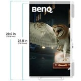 BenQ  31.5" 4K UHD Moniteur  Blanc