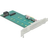 DeLOCK 89047 carte et adaptateur d'interfaces Interne M.2, SATA, Contrôleur PCIe, M.2, SATA, Profil bas, PCIe 4.0, 5 - 50 °C, -25 - 70 °C