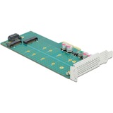 DeLOCK 89047 carte et adaptateur d'interfaces Interne M.2, SATA, Contrôleur PCIe, M.2, SATA, Profil bas, PCIe 4.0, 5 - 50 °C, -25 - 70 °C