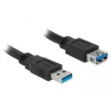 DeLOCK Câble de rallonge USB 3.2 Gen 1, connecteur USB-A > prise USB-A, Câble d'extension Noir