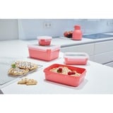 Emsa Clip & Close Rectangulaire Régler Corail 4 pièce(s), Boîte Corail/transparent, Régler, Rectangulaire, Corail, Polypropylène (PP), Élastomère thermoplastique (TPE), Allemagne, 200 ml