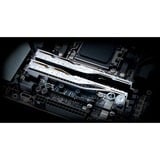 G.Skill 48 Go DDR5-8000 (2x 24 Go) mémoire vive Argent, F5-8000J4048G24GX2-TR5NS, EXPO