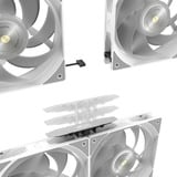 RAIJINTEK 0R10B00232, Watercooling Blanc