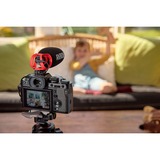 Rode Microphones VideoMicro II Noir