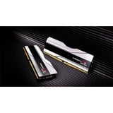 G.Skill 64 Go DDR5-6000 Kit, Mémoire vive Argent, F5-6000J3036G32GX2-TZ5NRW, Trident Z5 RGB, EXPO