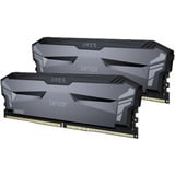 Lexar LD5U16G60C320A-RGD, Mémoire vive Noir