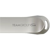 Team Group C222 256 GB, Clé USB Argent
