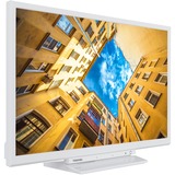 Toshiba 24WK3C64DAY, TV LED Blanc