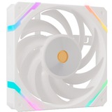 Valkyrie X12F ARGB 120 ventilateur de boîtier Blanc, 120 x 120 x 25 mm, PWM