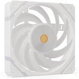 Valkyrie X12F ARGB 120 ventilateur de boîtier Blanc, 120 x 120 x 25 mm, PWM