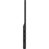 iiyama ProLite P1671HSC-B1 15.6" Moniteur Noir (Mat), 1x Mini HDMI, 2x USB-C