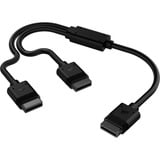 Corsair Câble Y-splitter iCUE LINK, Câble en Y Noir, 60 centimètres