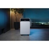 Hisense D12CW 40 dB 180 W Blanc, Déshumidificateur Blanc, 180 W, 220 - 240 V, 5 - 35 °C, 30 - 80%, 280 mm, 200 mm