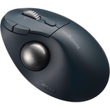 Kensington K72196WW, Trackball Noir/Bleu