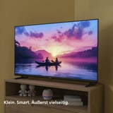 Philips 24PHS6050/12 24" TV LED Noir