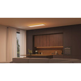 Philips Hue Hue White & Color Ambiance Datura Plafonnier, Lumière LED Blanc