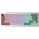 RAIJINTEK MGA-68 RGB clavier gaming Argent, Layout DE (QWERTZ), Hejin Magnetic Yellow, 65%