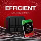 Seagate IronWolf NAS 2 x 4 TB Bundle, Disque dur 