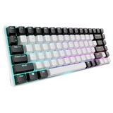 Sharkoon SKILLER SGK50 S3 RGB clavier gaming mécanique Blanc, Layout RU, Gateron Yellow, 75%