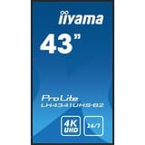 iiyama LH4341UHS-B2, Affichage public Noir brillant