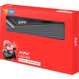 ADATA CASTER DDR5 module de mémoire 32 Go 2 x 32 Go ECC, Mémoire vive Gris, 32 Go, 2 x 32 Go, DDR5, 6000 MHz, 288-pin DIMM, Noir