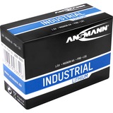 Ansmann 1502-0005 pile domestique Batterie à usage unique AA Lithium Batterie à usage unique, AA, Lithium, 1,5 V, 10 pièce(s), Noir