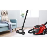 Bosch Serie 6 ProAnimal 2,4 L Aspirateur réservoir cylindrique Sec 750 W Sans sac Rouge/Noir, 750 W, Aspirateur réservoir cylindrique, Sec, Sans sac, 2,4 L, HEPA, Filtre hygiénique