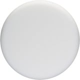 Bosch Éponge de polissage douce, Ø 170mm, Roue de polissage Blanc