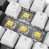 Sharkoon SKILLER SGK50 S4 Gen2, clavier gaming Blanc, Layout DE, Gateron Yellow