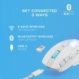 Turtle Beach Kone XP Air, Souris gaming Blanc