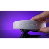 Turtle Beach Recon 70 PlayStation Console Blanche Casque de gaming multiplateforme pour PS5, PS4, PS4 Pro, Xbox Series X, Xbox Series S et Xbox One, PC et Appareils Mobiles avec prise 3,5 mm casque gaming over-ear Blanc, PS4, PS4 Pro, Xbox Series X, Xbox Series S et Xbox One, PC et Appareils Mobiles avec prise 3,5 mm, Avec fil, Gaming, 20 - 20000 Hz, 420 g, Casque, Blanc