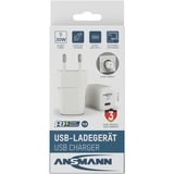 Ansmann 1001-0154, Chargeur Blanc