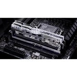 G.Skill 32 Go DDR5-7600 Kit, Mémoire vive Argent, F5-7600J3646G16GX2-TR5S, Trident Z Royal, LED RGB, XMP 3.0