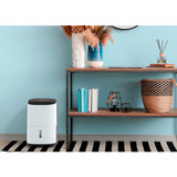 Meaco Dry Arete One 10L Déshumidificateur à compresseur et purificateur d'air Blanc/Noir