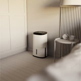 Meaco Dry Arete Two 20L Déshumidificateur à compresseur et purificateur d'air Blanc/Noir