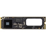 OWC Aura Pro IV 500 GB, SSD 