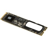 OWC Aura Pro IV 500 GB, SSD 