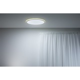 WiZ 929003226901, Lumière LED Blanc