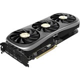 ZOTAC ZT-D40710J-10P, Carte graphique 