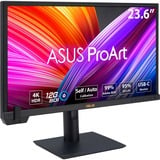 ASUS ProArt PA24US écran plat de PC 59,9 cm (23.6") 3840 x 2160 pixels 4K Ultra HD LCD Noir Moniteur Noir, 1x DisplayPort, 2x HDMI, 1x USB-C, 2x USB-A, 59,9 cm (23.6"), 3840 x 2160 pixels, 4K Ultra HD, LCD, 5 ms, Noir