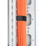 Digitus Chemin de câbles verticaux pour armoire réseau 42HE de 483 mm (19"), Guide-câble Gris, Panneau passe câbles, Gris, Acier, 42U, Turquie, 48,3 cm (19")