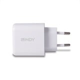 Lindy Chargeur GaN 65W USB Type A & C Blanc, Intérieure, Secteur, 20 V, Blanc
