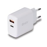 Lindy Chargeur GaN 65W USB Type A & C Blanc, Intérieure, Secteur, 20 V, Blanc