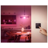 Philips Hue Tap Dial, Palpeur Noir