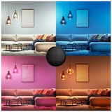 Philips Hue Tap dial switch, Palpeur Noir, Philips Tap dial switch, Sans fil, Noir, Mur, IP20, Plastique, IP20