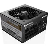 RAIJINTEK , 850 Watt alimentation  Noir