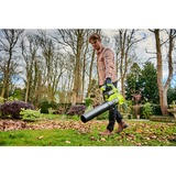 Ryobi RY36BLA-0, Souffleur de feuilles Vert/Noir