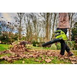 Ryobi RY36BLA-0, Souffleur de feuilles Vert/Noir