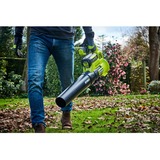 Ryobi RY36BLA-0, Souffleur de feuilles Vert/Noir